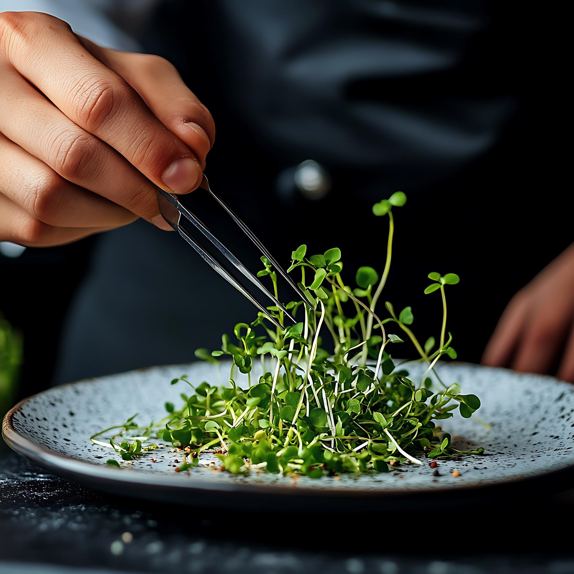Student plating a composed salad